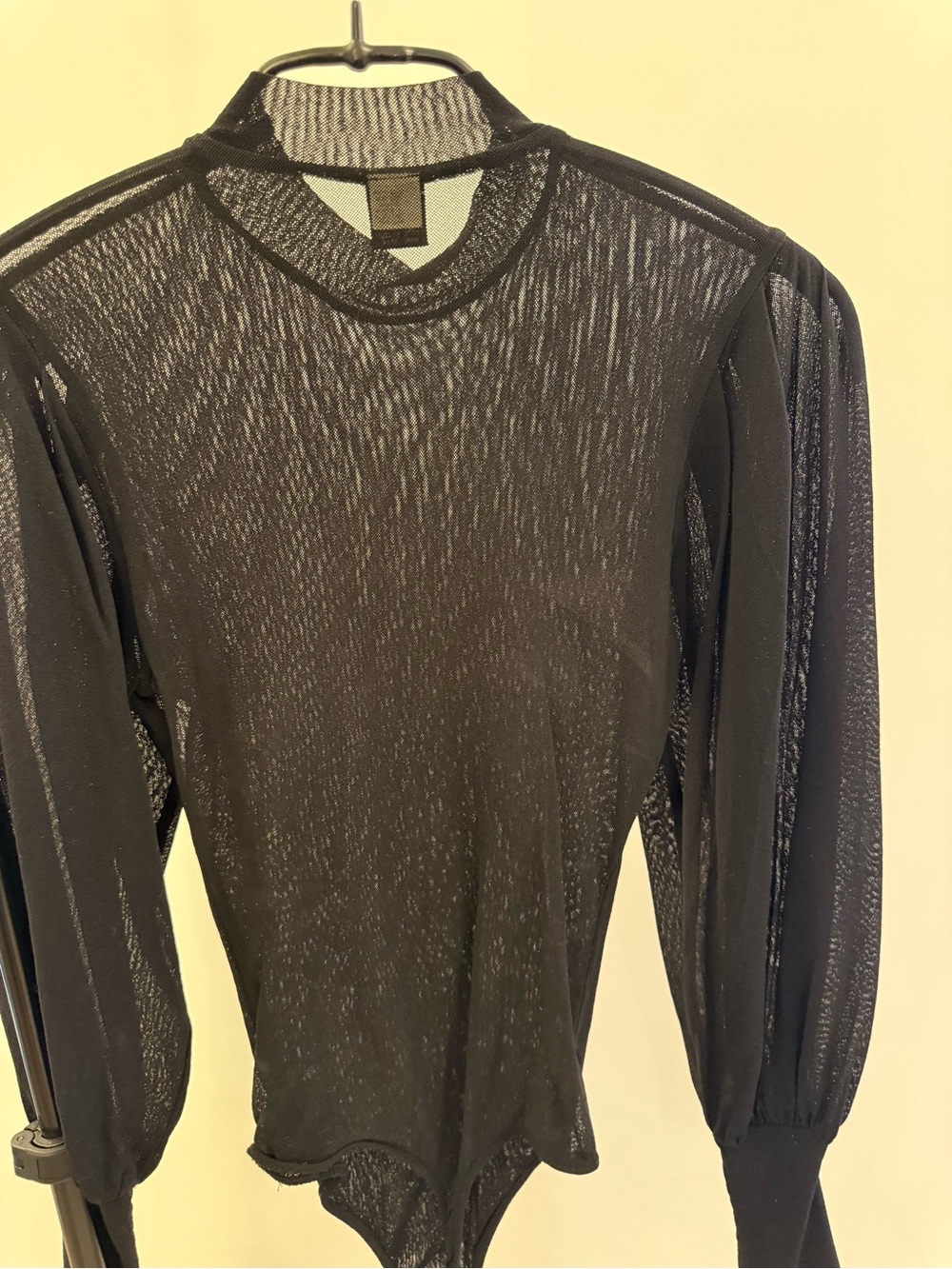 Only Hearts No Doubt Pleat Sleeve Sheer Bodysuit in Black